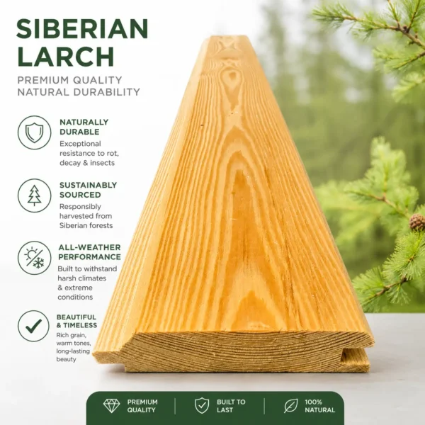 Siberian Larch Cladding Board T&G Profile 4000mm length showcasing natural wood grain texture.