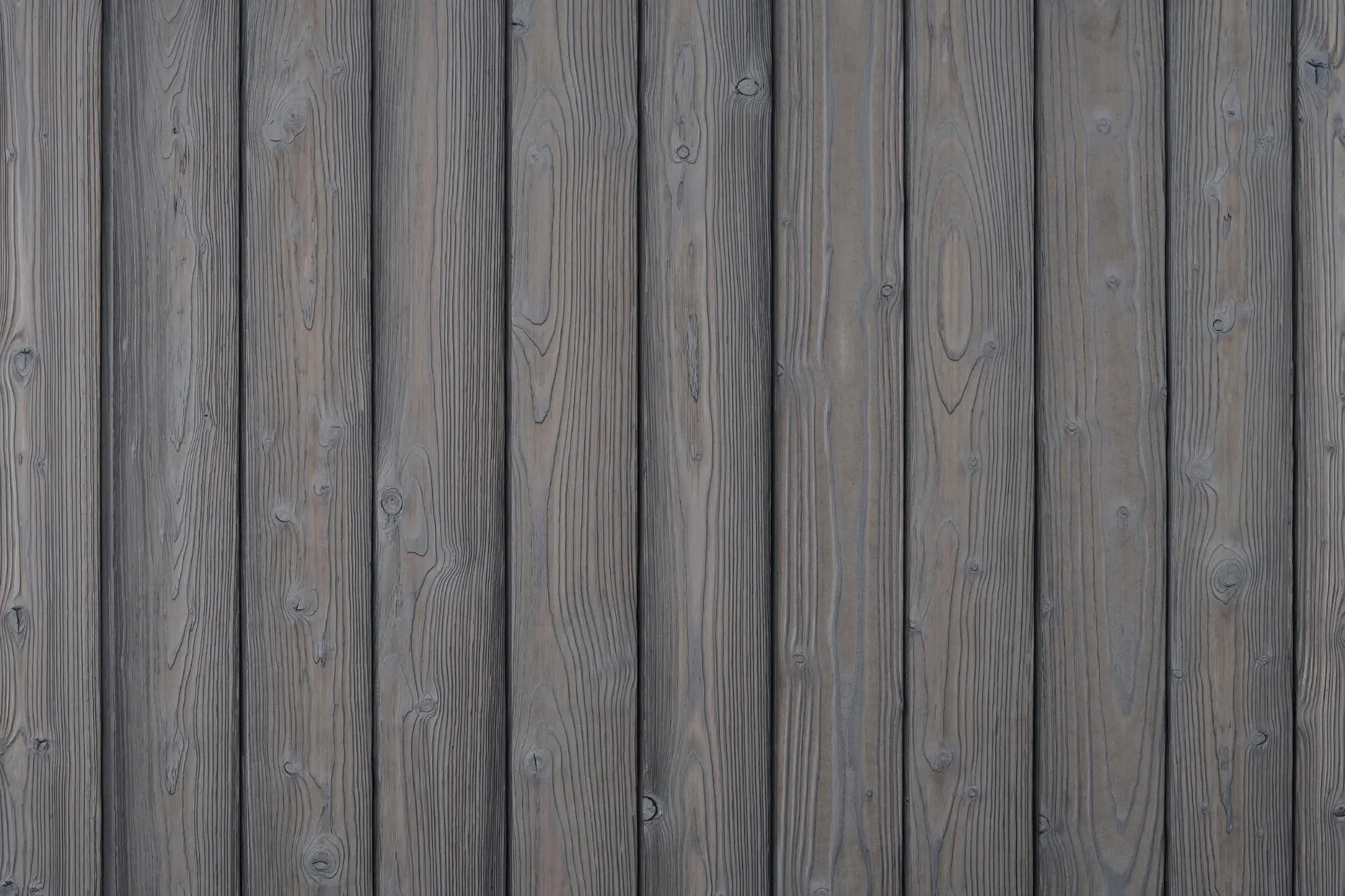 Siberian Larch charred timber cladding board in light grey finish with vertical grain.