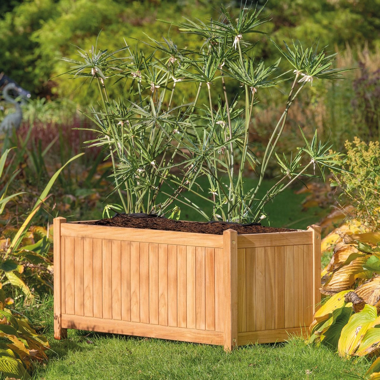 A rectangular Teak Planter Bali Small box filled with soil and lush green ornamental grasses, set on a garden lawn background.