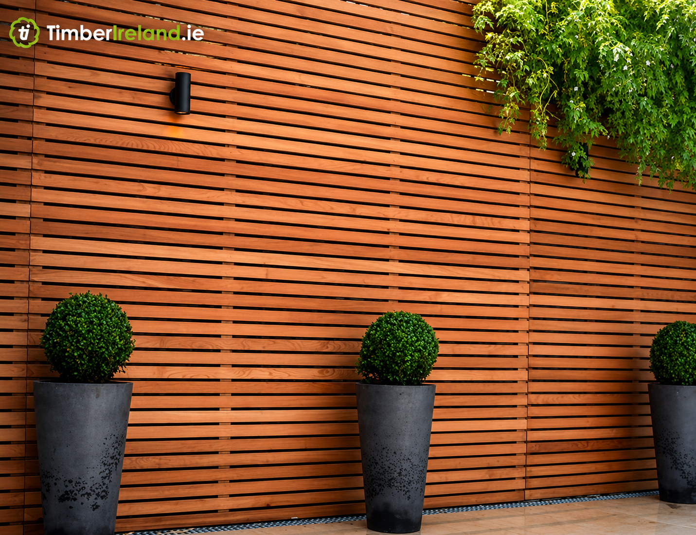 Cedar Batten/Screen (Fencing) – Ease Edge – 44×18 mm (2×1") – 3050 mm - Image 2