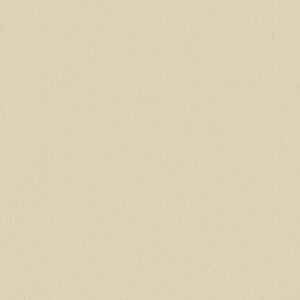 Mussel ST9 ABS edging strip, 23 x 0.8 mm, 75 m roll