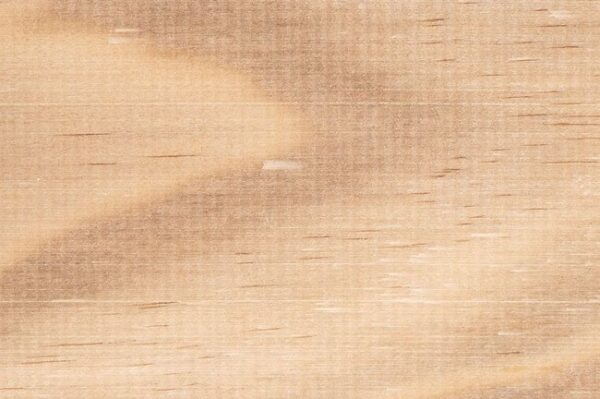 Accoya modified timber grain detail square showing pale honey colour and fine straight grain
