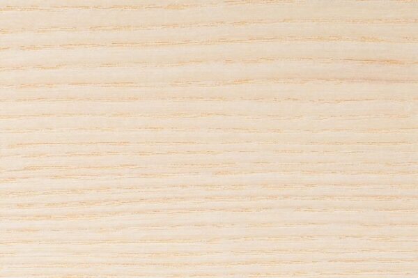 American white ash hardwood grain detail square showing pale cream colour and prominent ring-porous grain