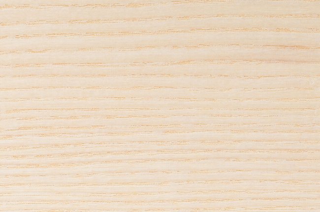 American white ash hardwood grain detail square showing pale cream colour and prominent ring-porous grain