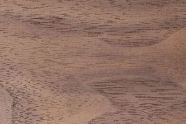 American black walnut hardwood grain detail square showing dark chocolate heartwood and straight close grain