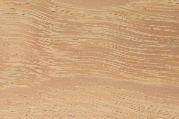 Iroko hardwood grain detail square showing golden brown colour and interlocked grain