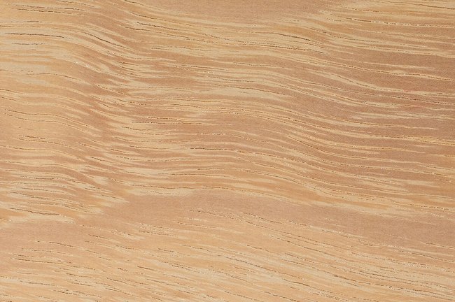 Iroko hardwood grain detail square showing golden brown colour and interlocked grain