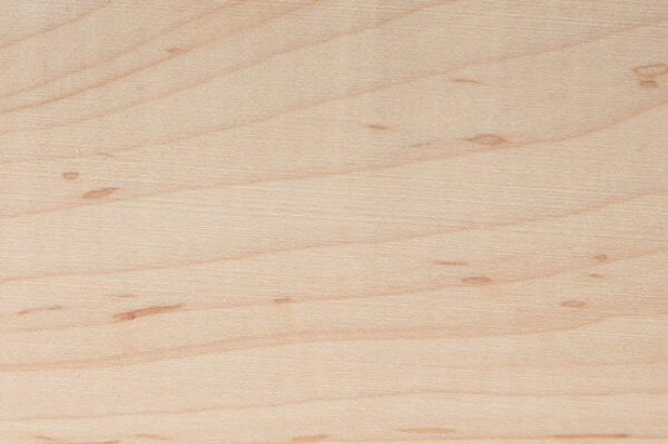 Hard maple hardwood grain detail square showing pale cream colour and fine even grain