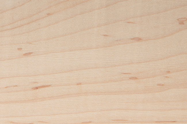 Hard maple hardwood grain detail square showing pale cream colour and fine even grain