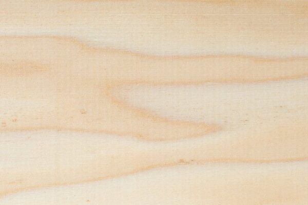 Poplar hardwood grain detail square showing pale cream colour with green-grey streaking
