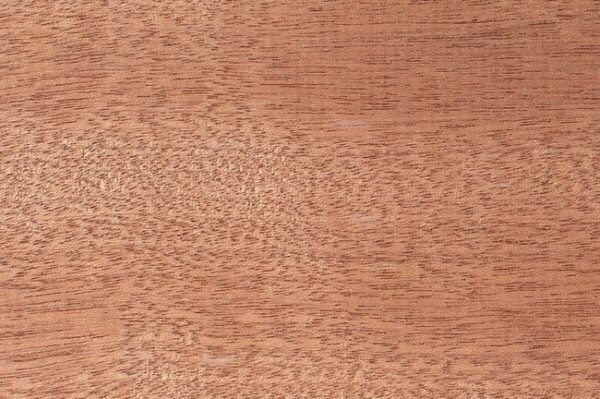 Sapele hardwood grain detail square showing reddish brown colour and ribbon stripe figure