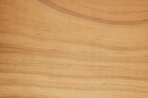 ThermoWood radiata pine timber grain detail square showing warm caramel colour from thermal modification and prominent cathedral grain